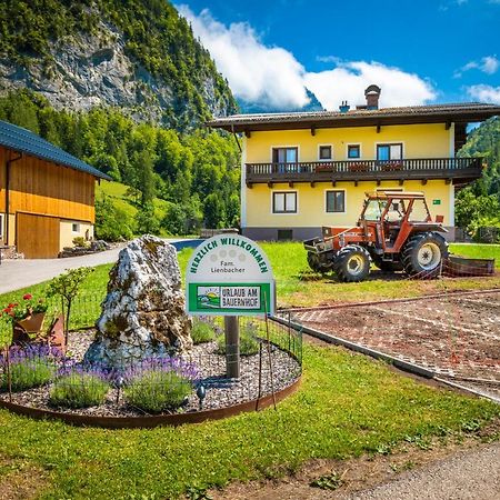 Hinterkellaubauer Bed & Breakfast Kuchl Exterior photo