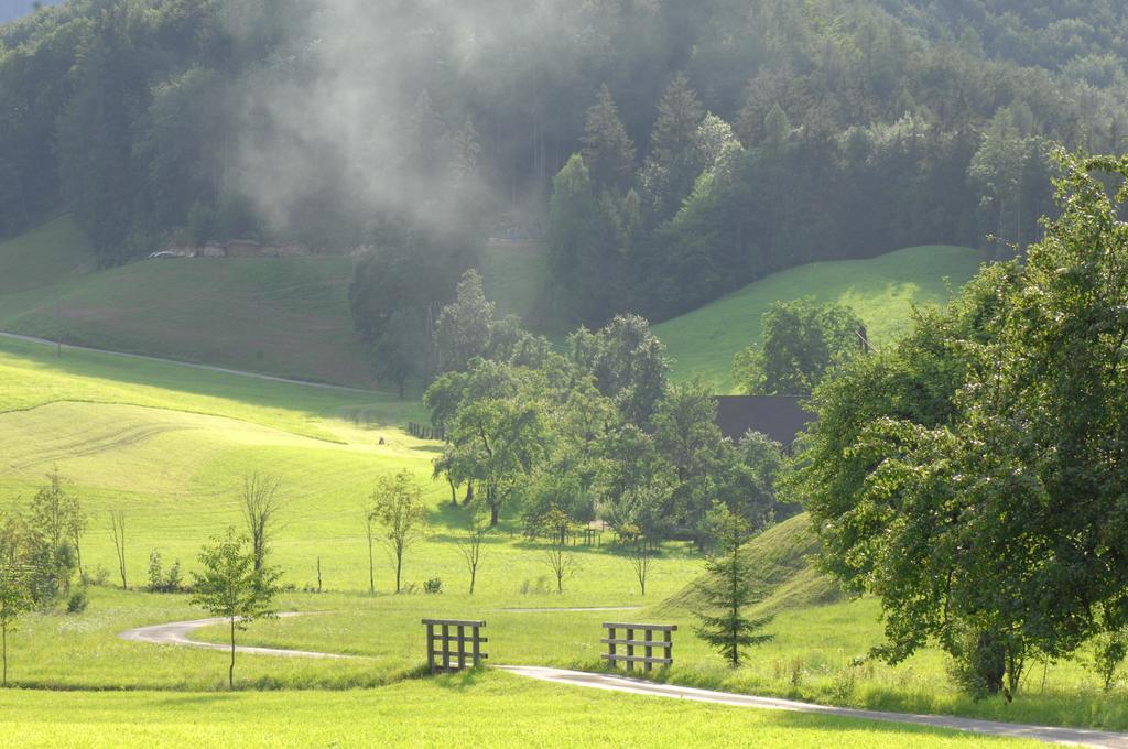 Hinterkellaubauer Bed & Breakfast Kuchl Exterior photo